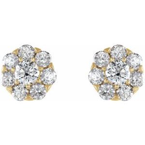 14K Yellow 5/8 CTW Natural Diamond Cluster Earrings